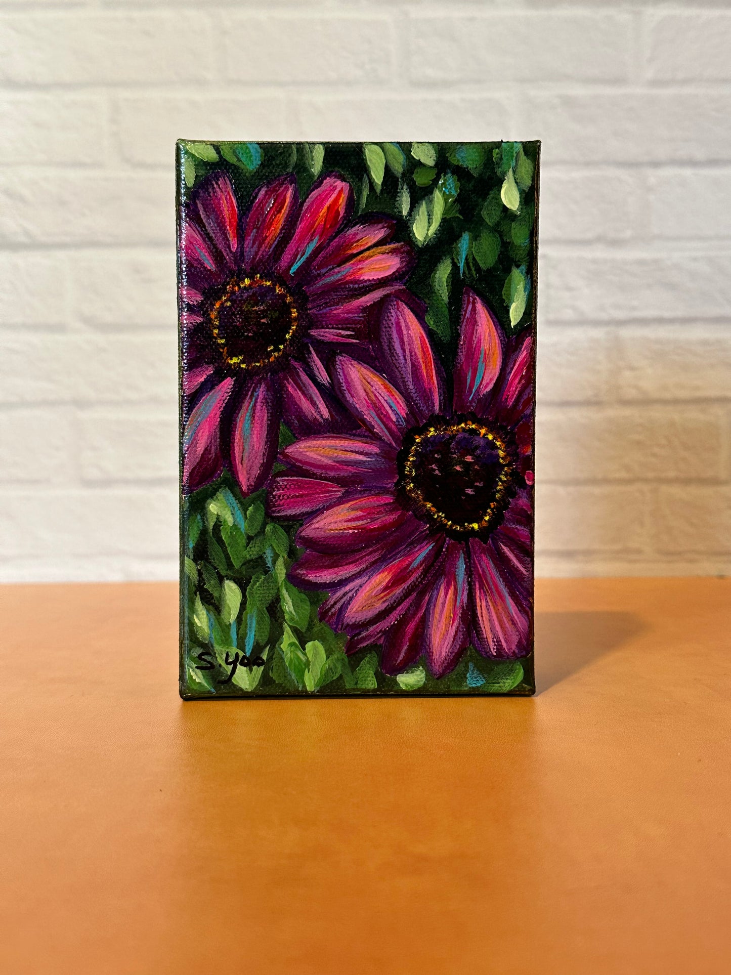 "African Daisies"