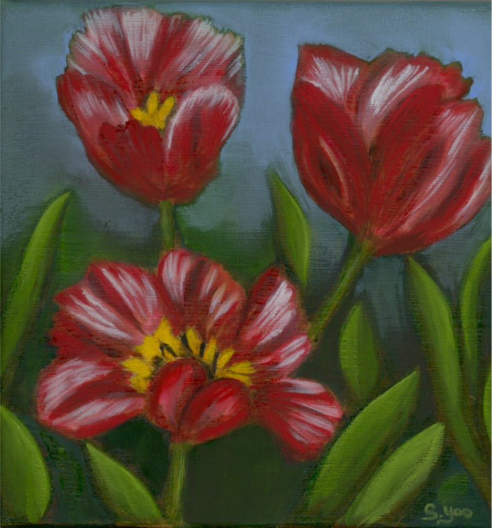 "Holland Tulips"