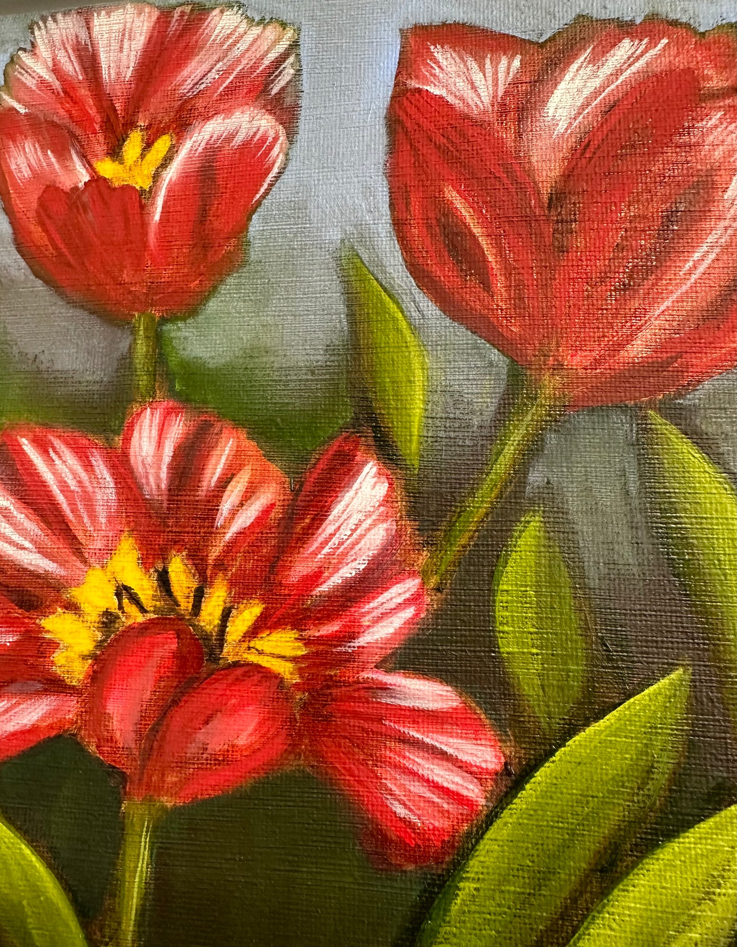 "Holland Tulips"