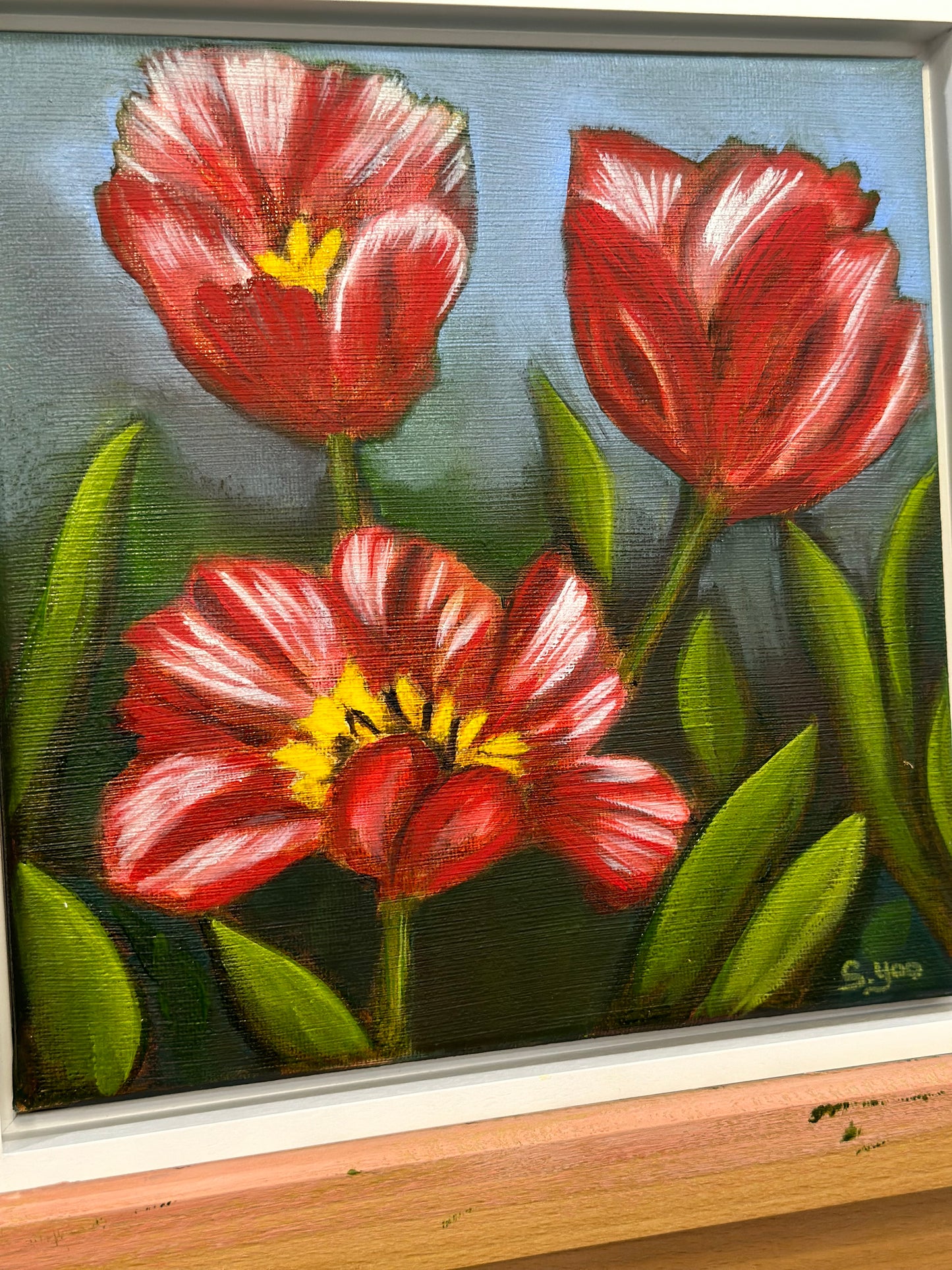 "Holland Tulips"