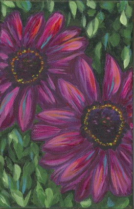 "African Daisies"