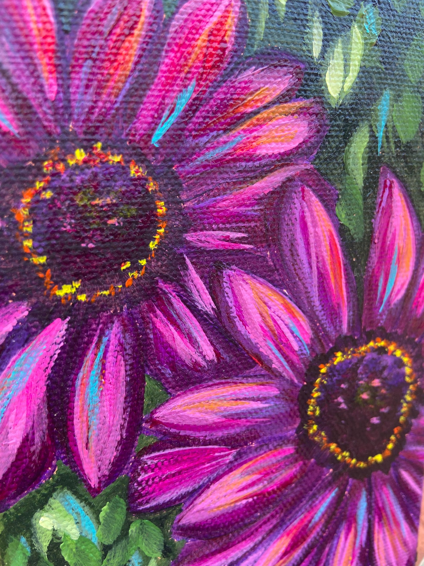 "African Daisies"