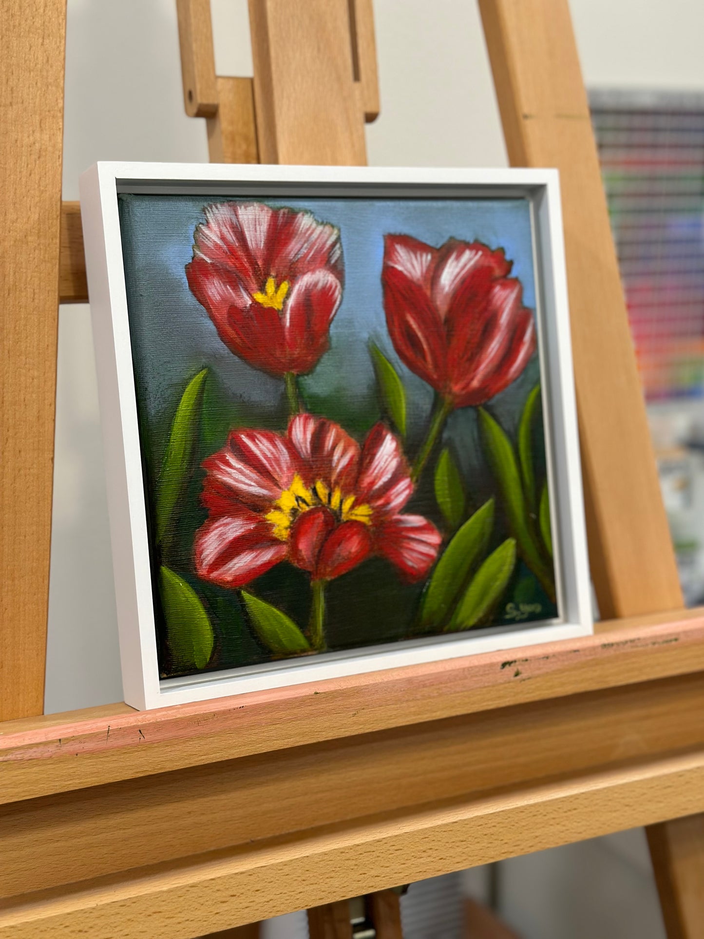 "Holland Tulips"