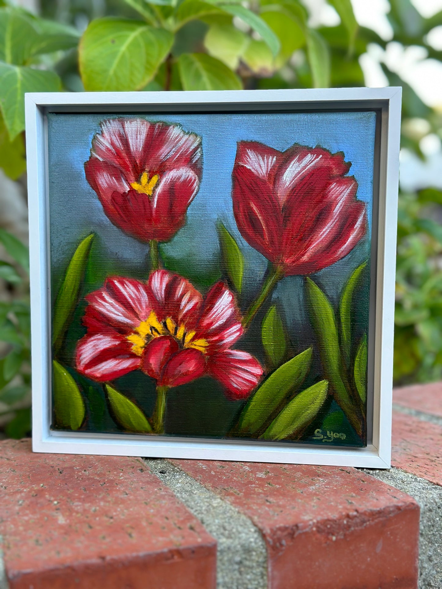 "Holland Tulips"