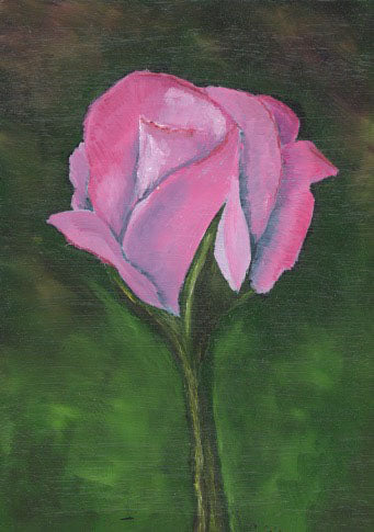 Pink Rose Bud Fine Art Print
